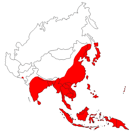 Japanse Encephalitis